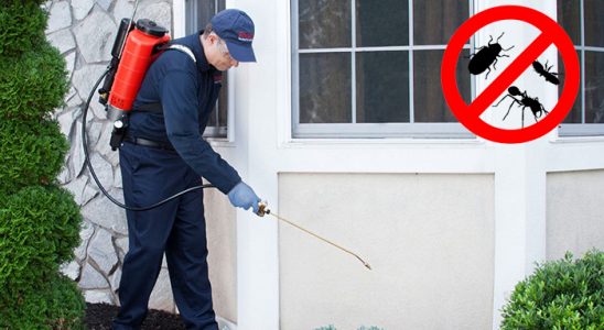 Yıkıkkemer Karınca İlaçlama böcek ilaçlama ve haşere kontrolü — ilaclama-tr.com